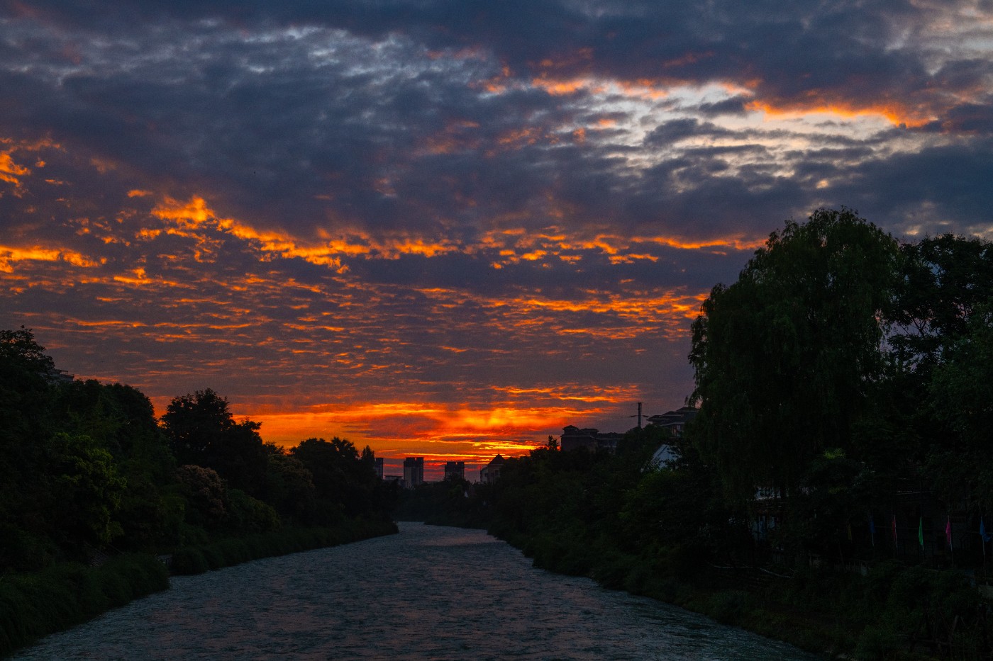 _DSC0776.jpg