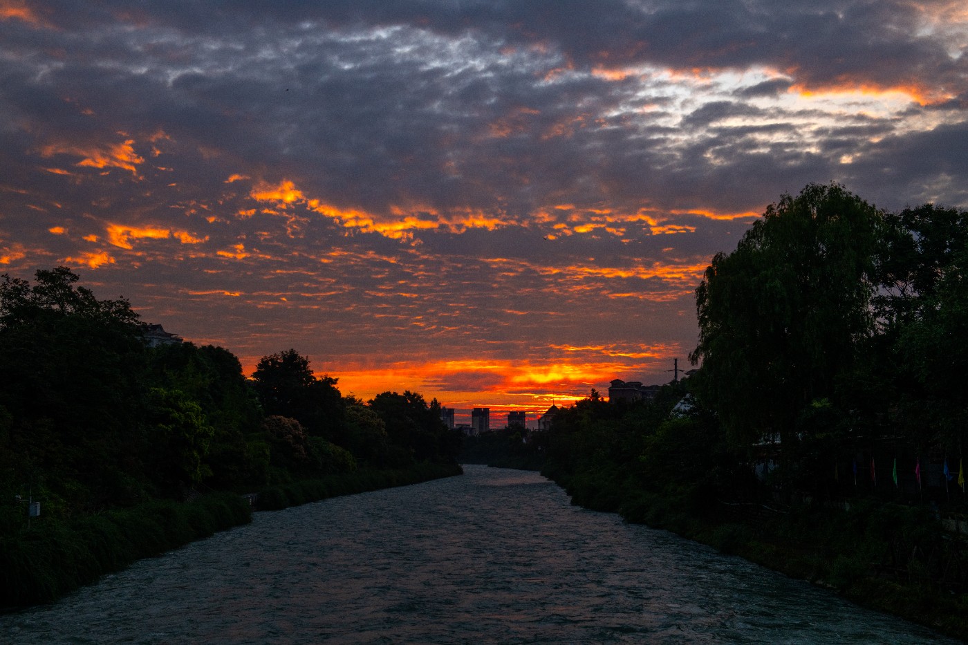 _DSC0778.jpg