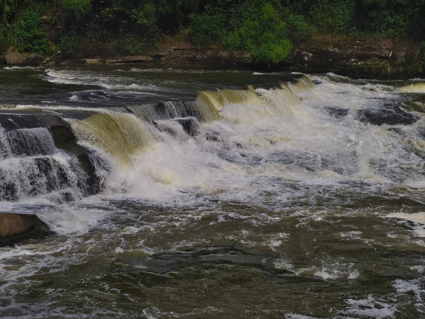 IMG_20260809_164944.jpg