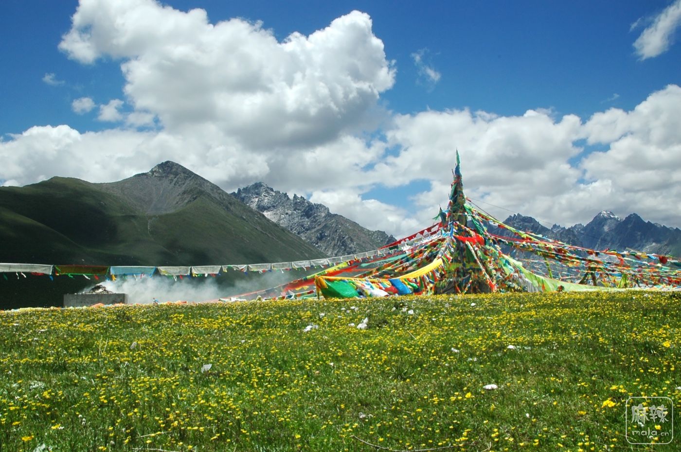 DSC_0904.jpg