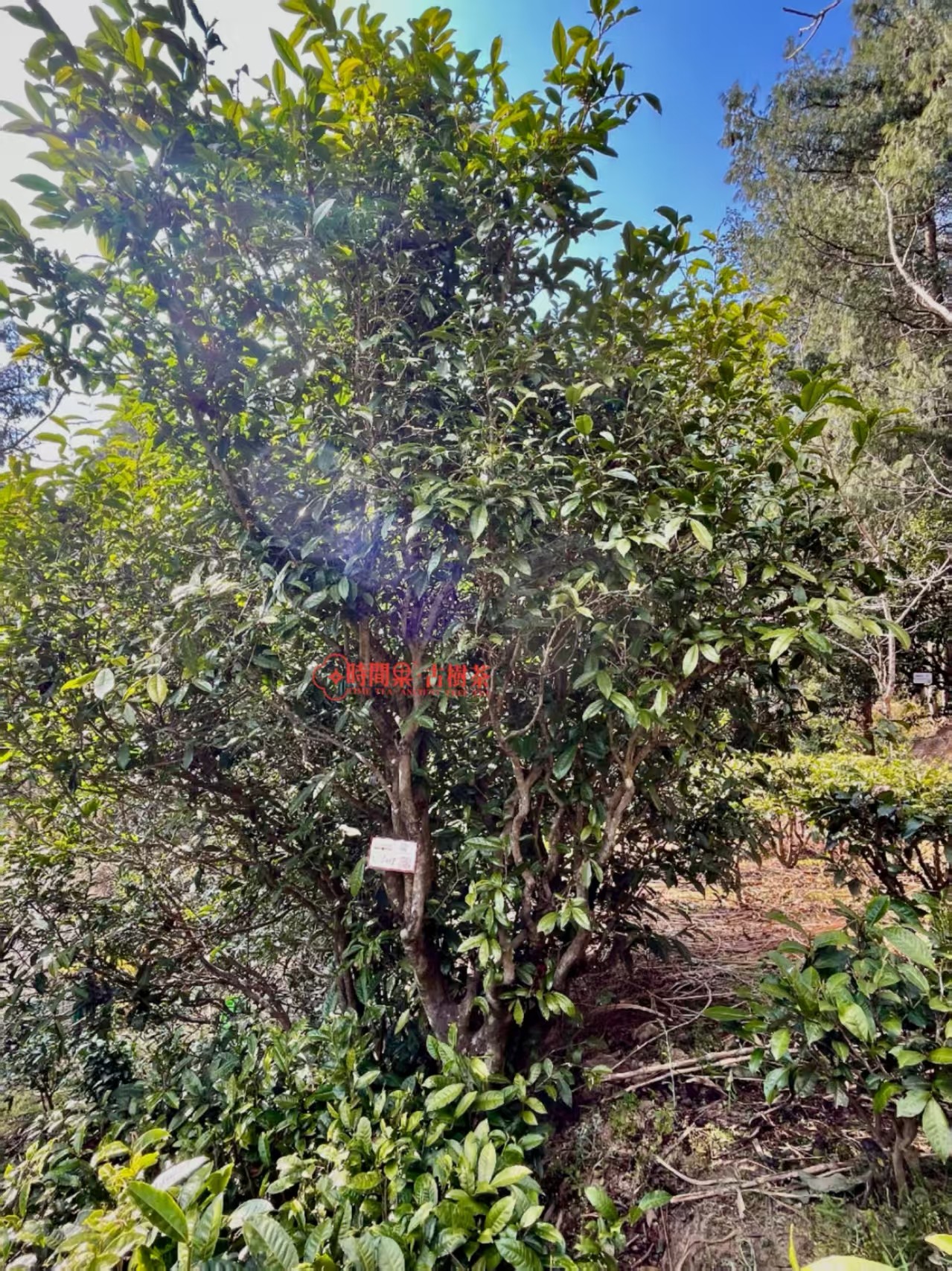 ΢��ͼƬ_20260422141101_249_84.jpg