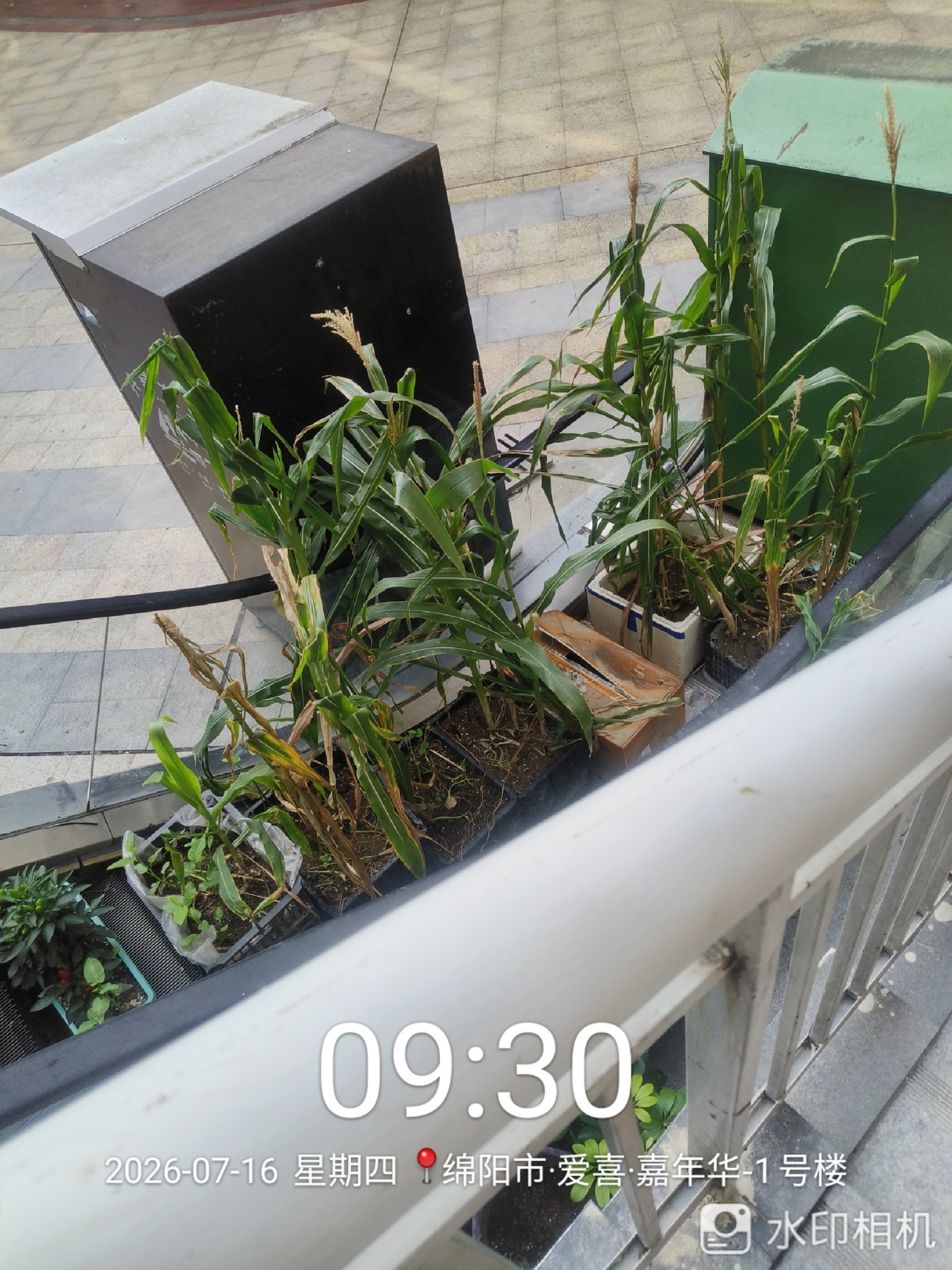 ΢��ͼƬ_20260717124210.jpg