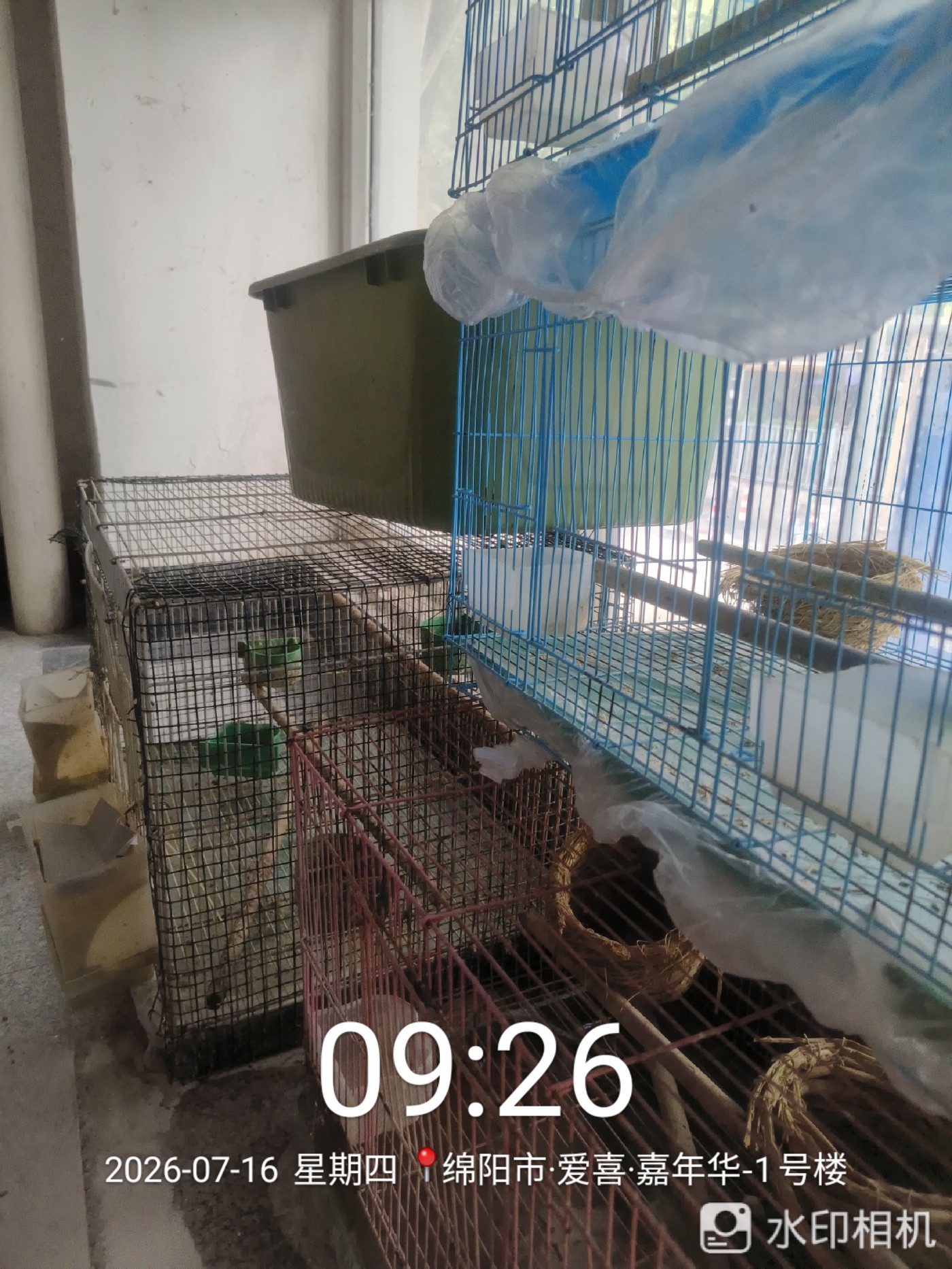΢��ͼƬ_20260717124322.jpg