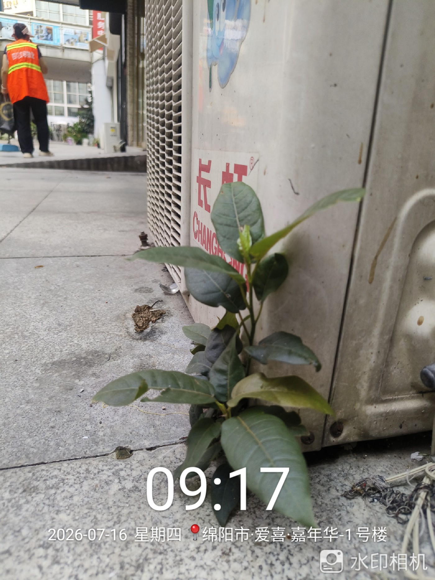 ΢��ͼƬ_20260717124426.jpg