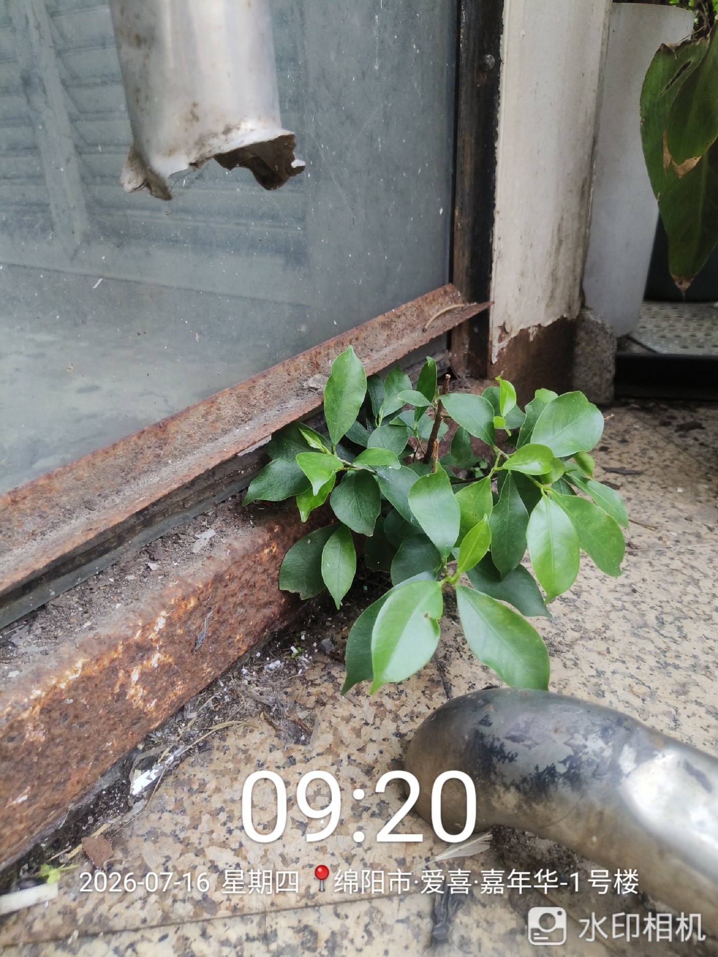΢��ͼƬ_20260717124419.jpg