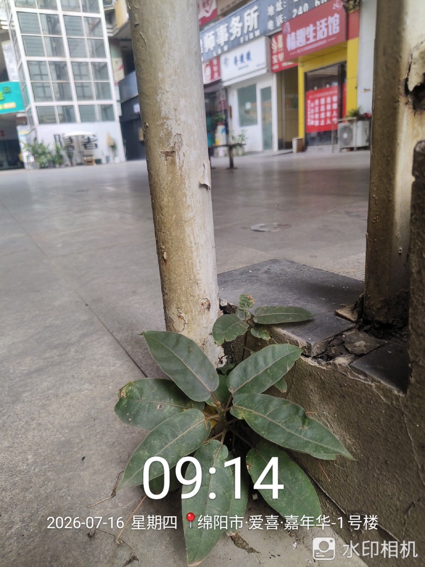 ΢��ͼƬ_20260717124455.jpg