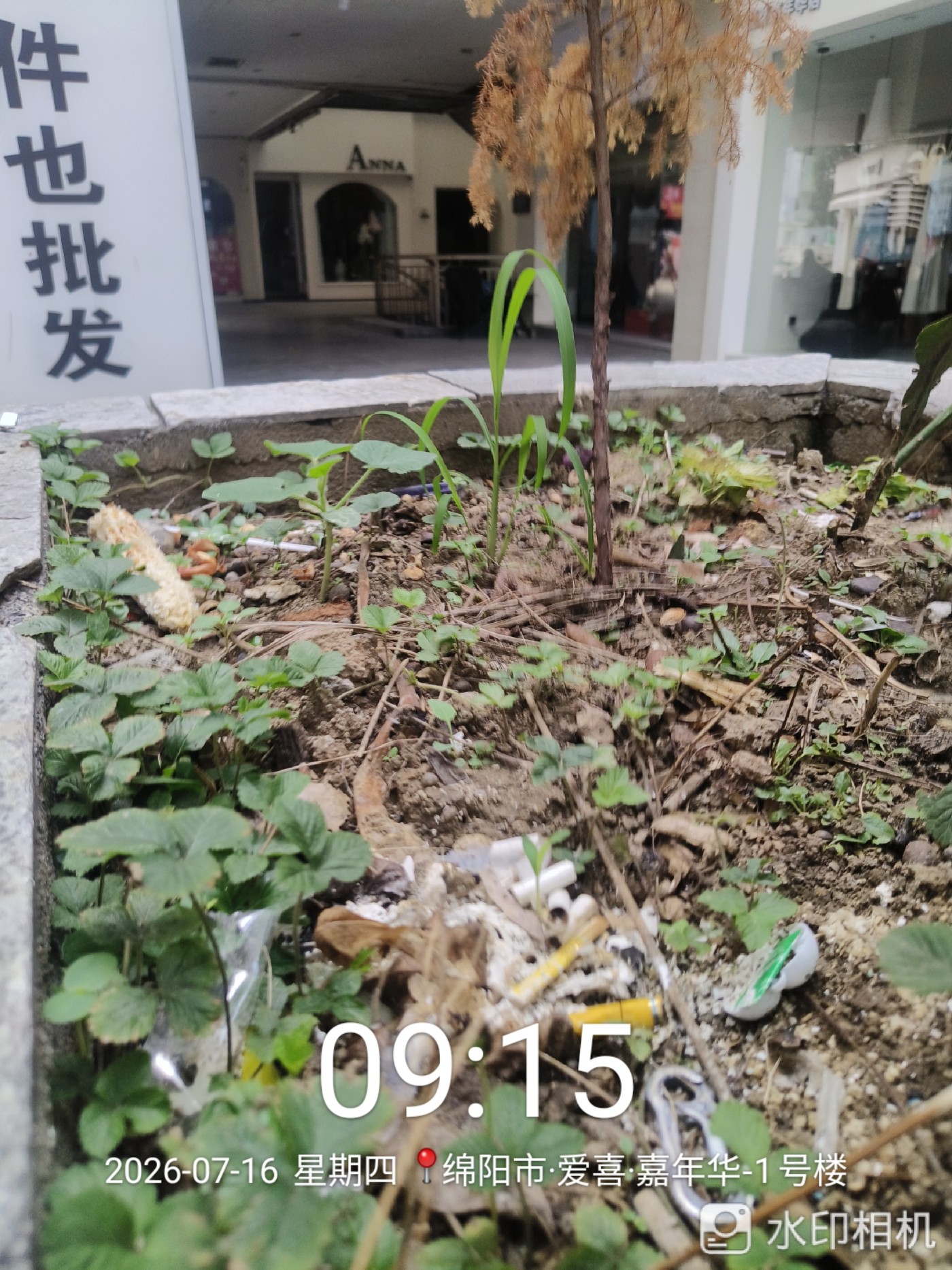 ΢��ͼƬ_20260717124432.jpg