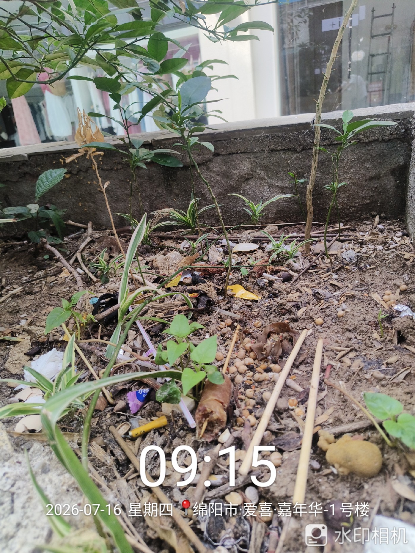 ΢��ͼƬ_20260717124448.jpg