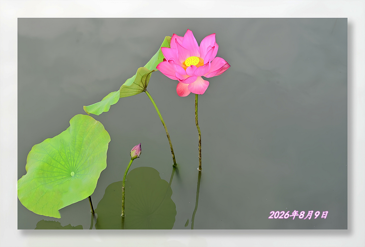 DSC_8668_����.jpg