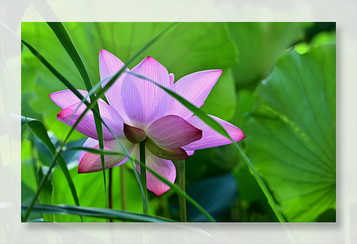 DSC_8322_����.png