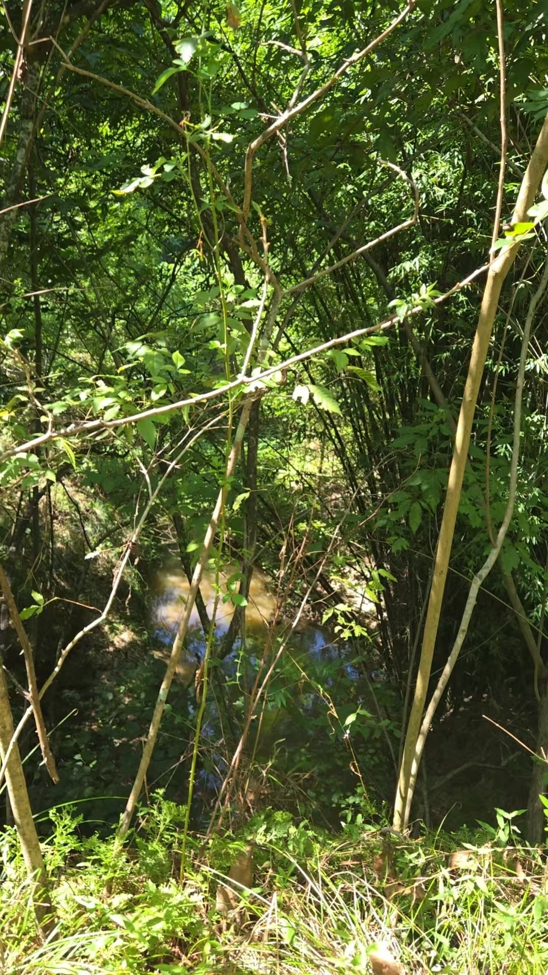 ΢��ͼƬ_20260812105511_5034_545.jpg