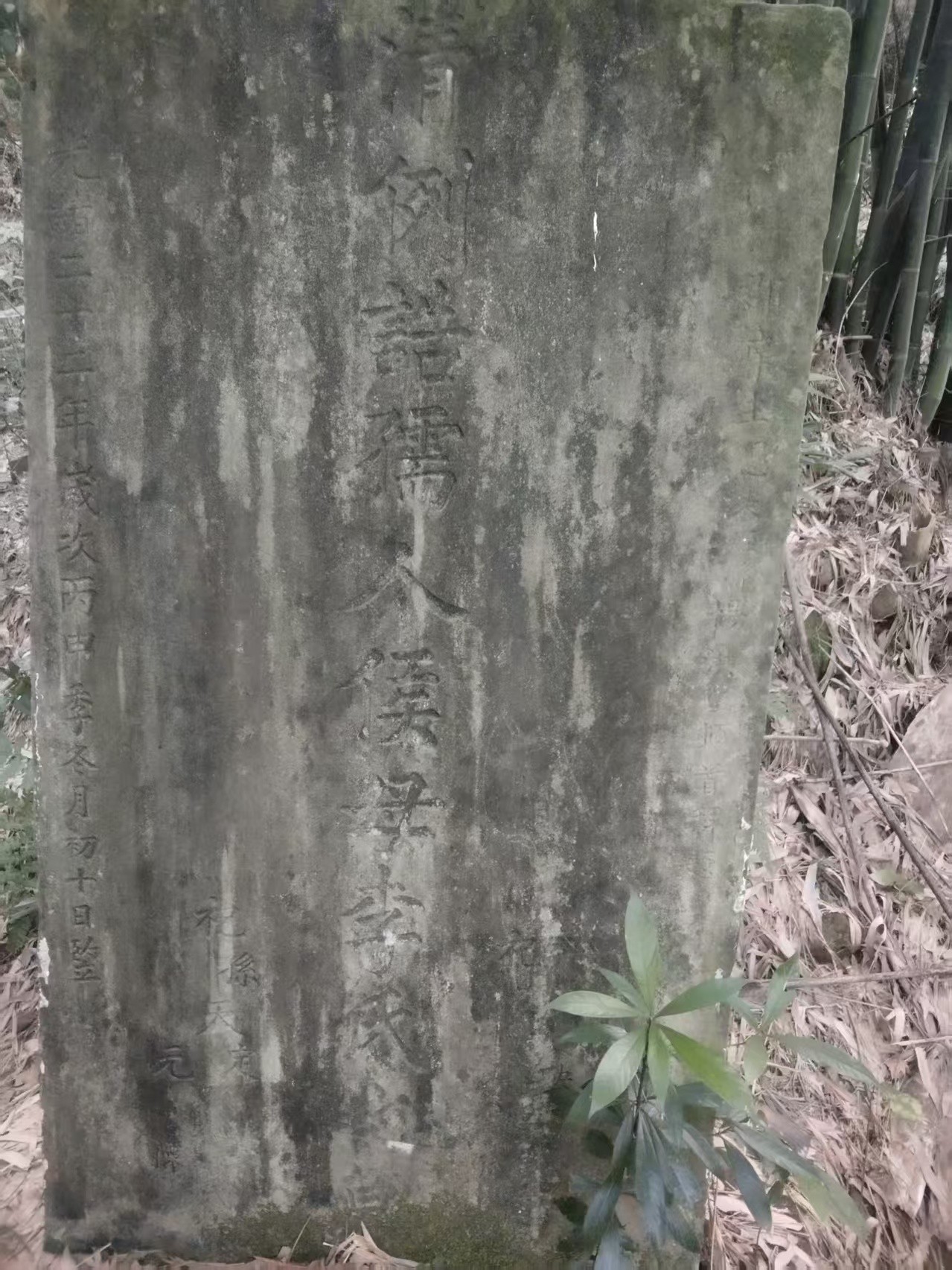 1786505424552.jpg