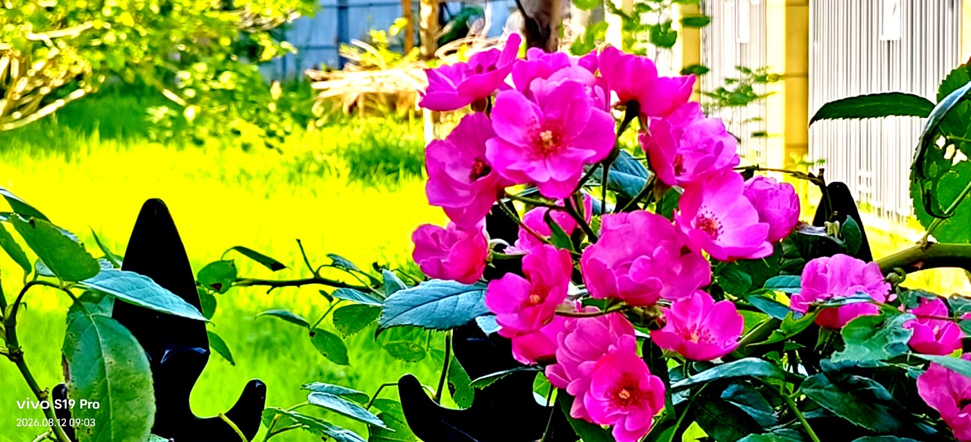 ΢��ͼƬ_20260812191748.jpg