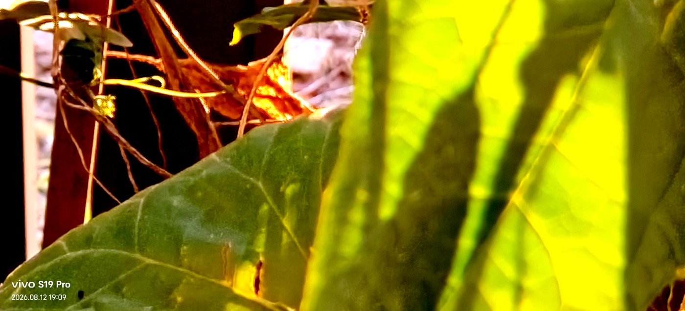 ΢��ͼƬ_20260812191647.jpg