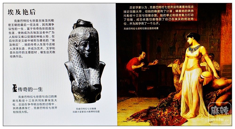 DSC_7067.jpg