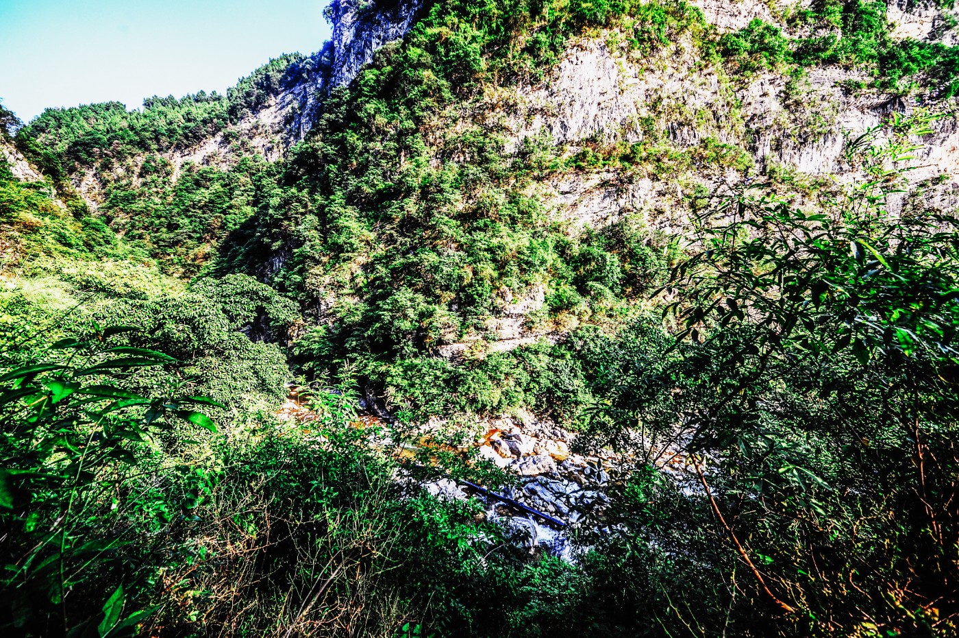GLL_4072-1.JPG