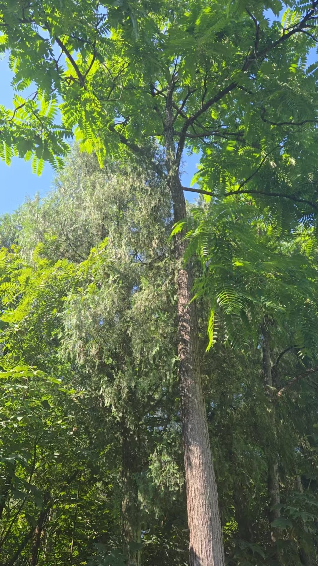 ΢��ͼƬ_20260813113217_143_547.jpg