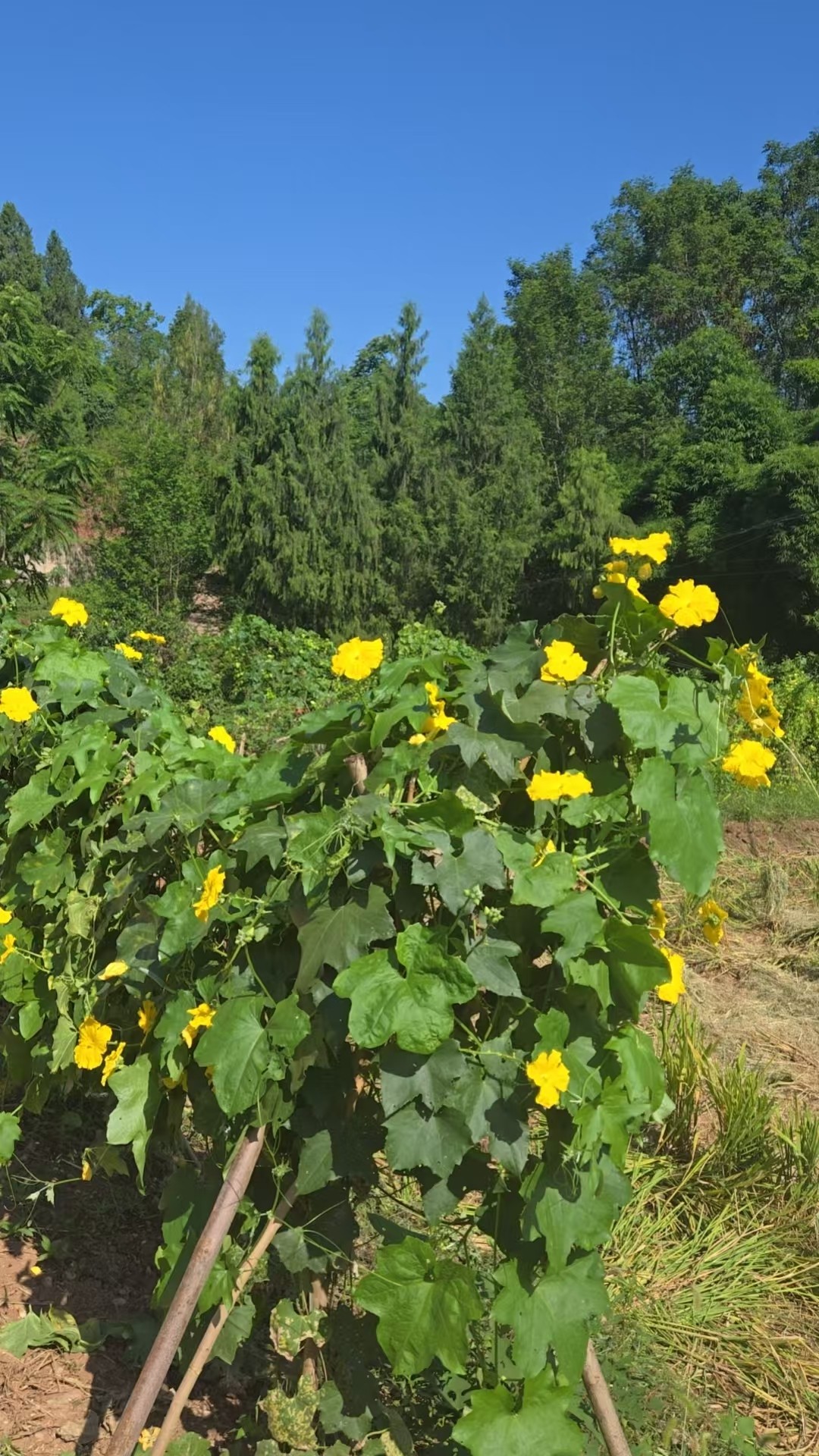 ΢��ͼƬ_20260813113237_169_547.jpg