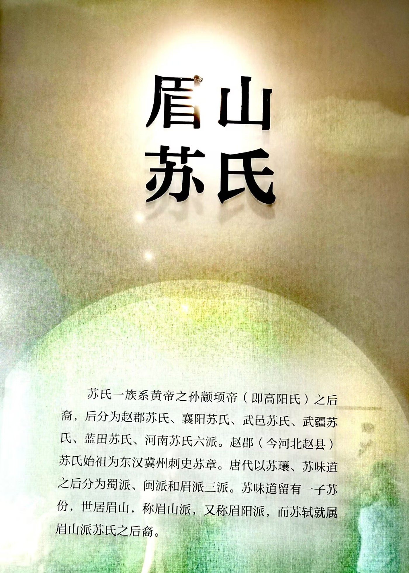 psc (16).jpg