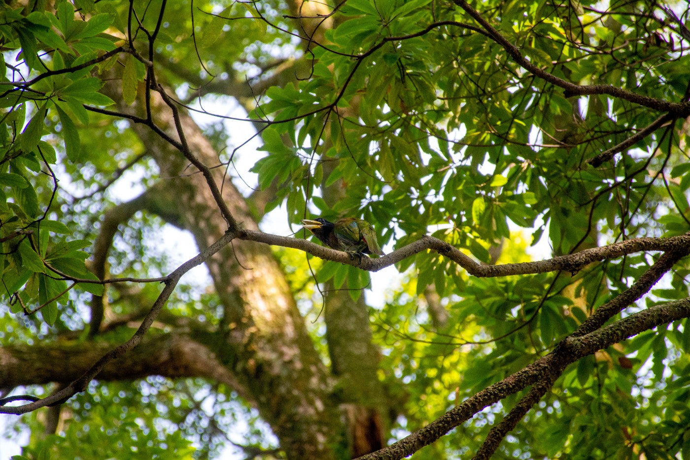 _DSC9544.jpg