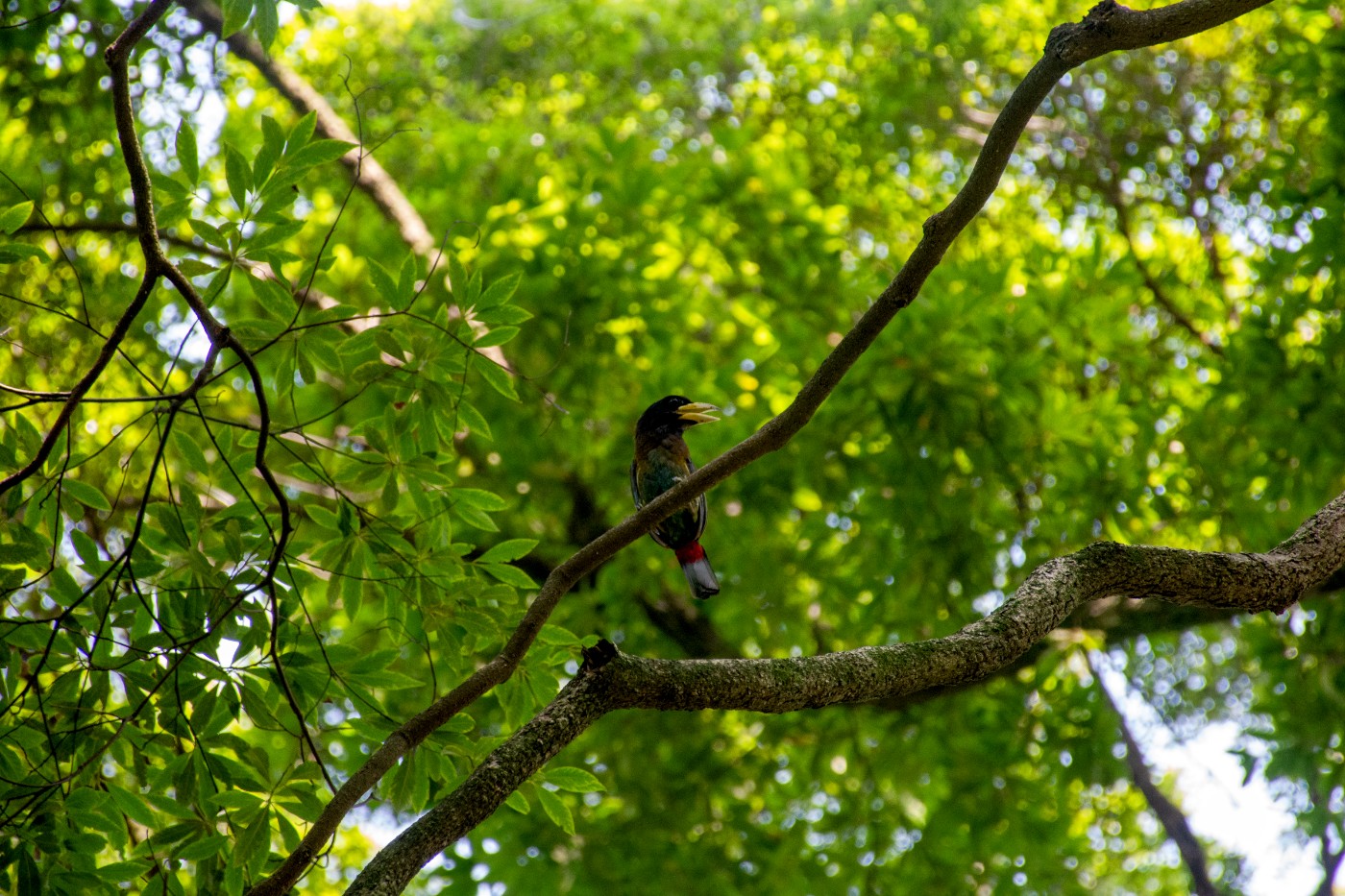 _DSC9584.jpg
