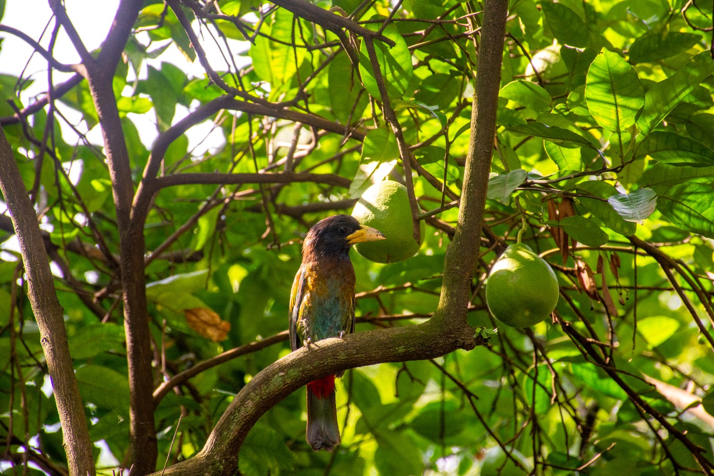 _DSC9609.jpg