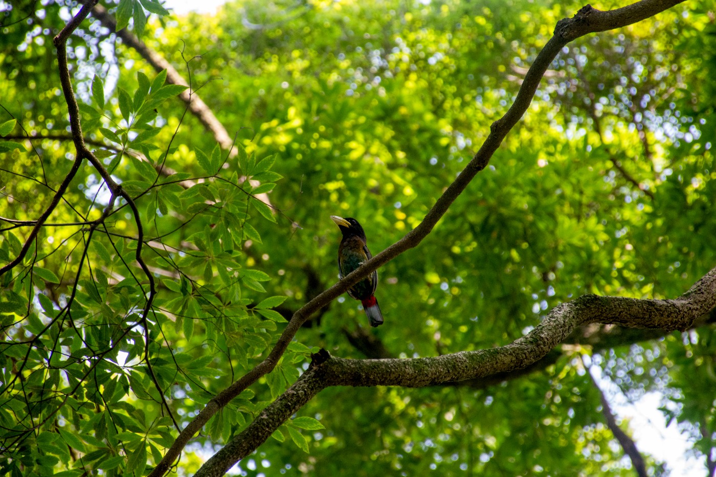 _DSC9586.jpg