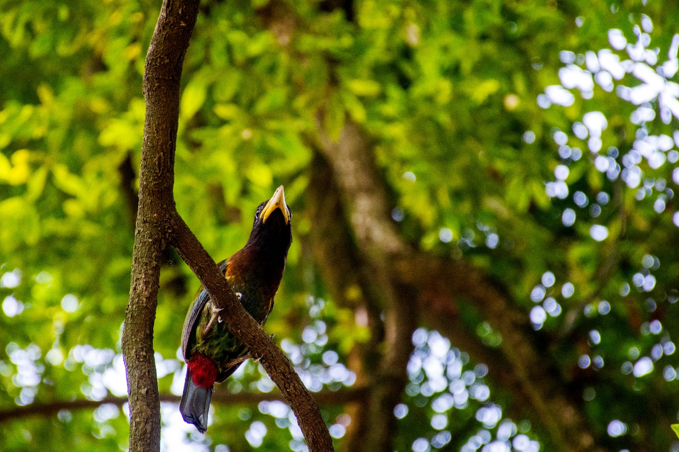 _DSC9663.jpg
