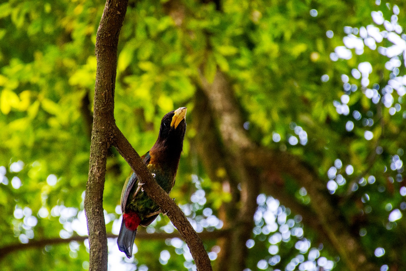 _DSC9675.jpg