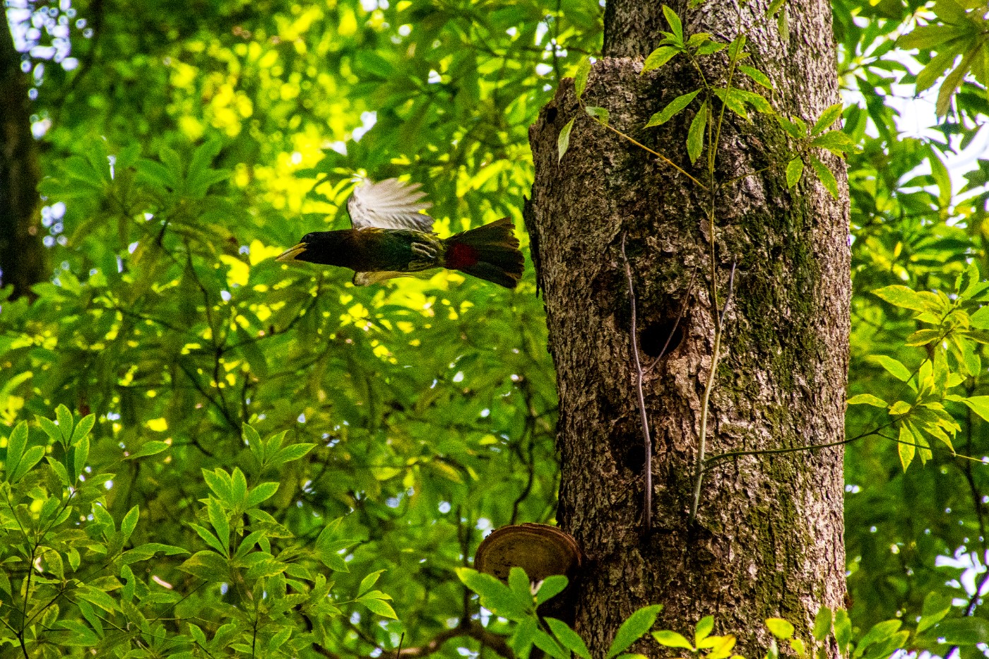 _DSC9686.jpg
