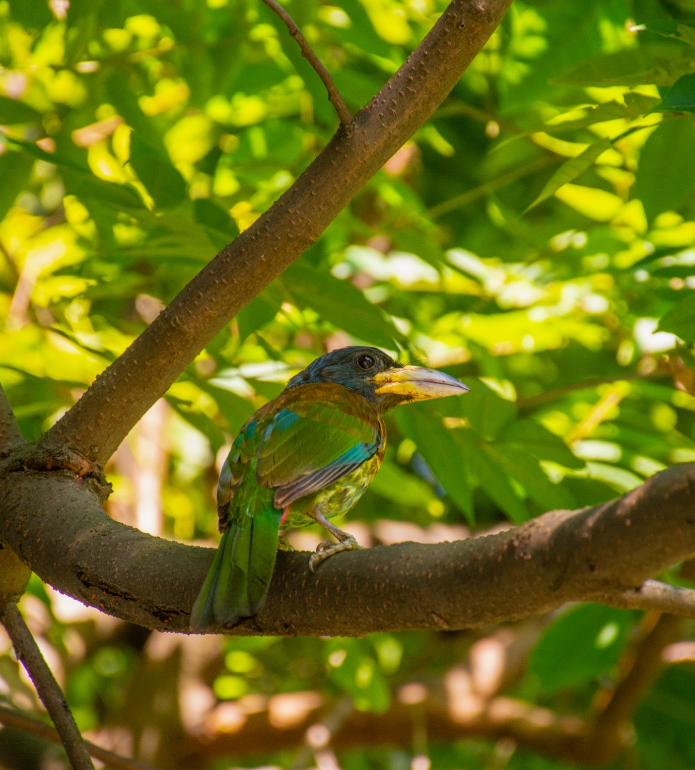 _DSC9804.jpg