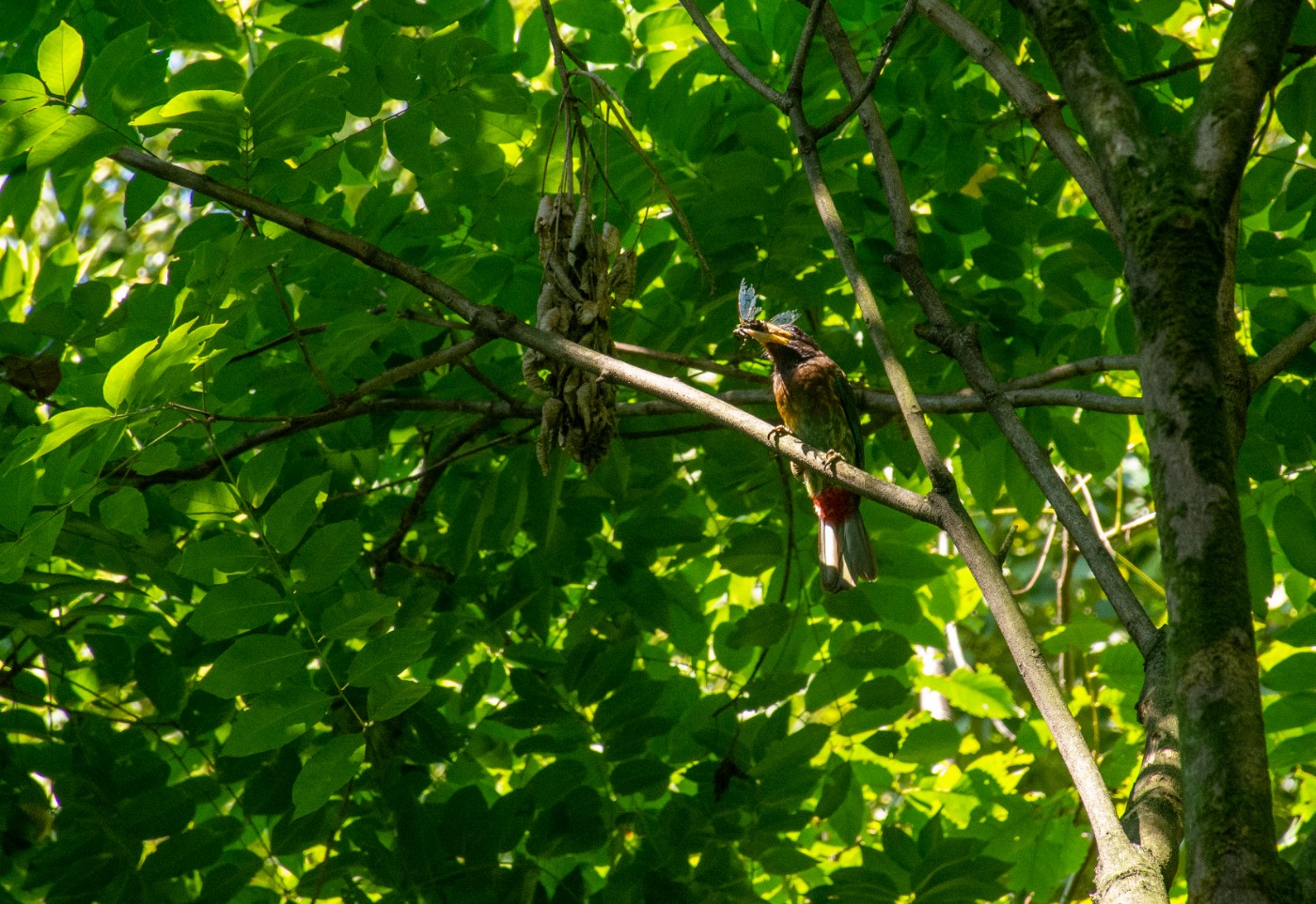 _DSC9851.jpg