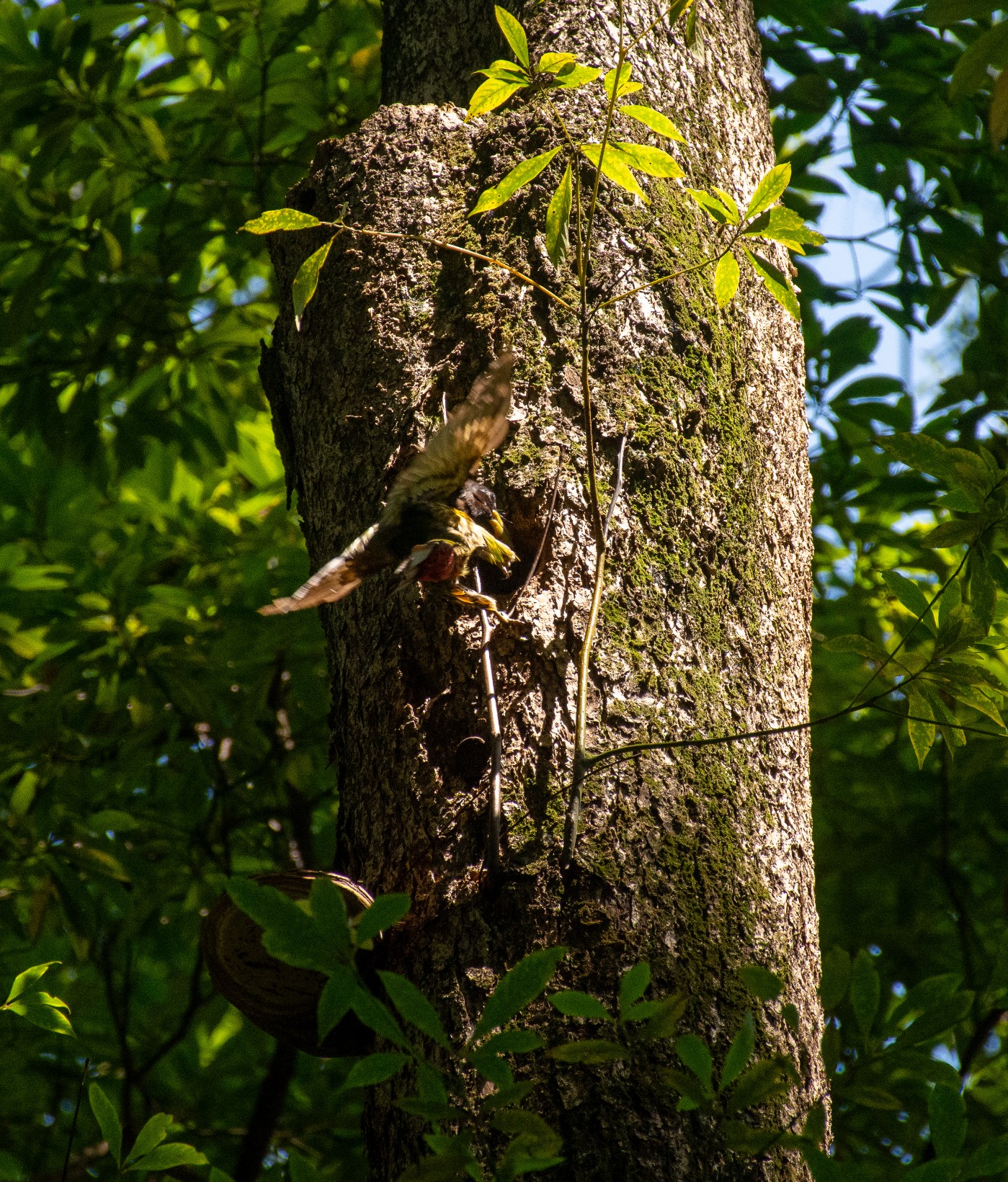 _DSC9877.jpg