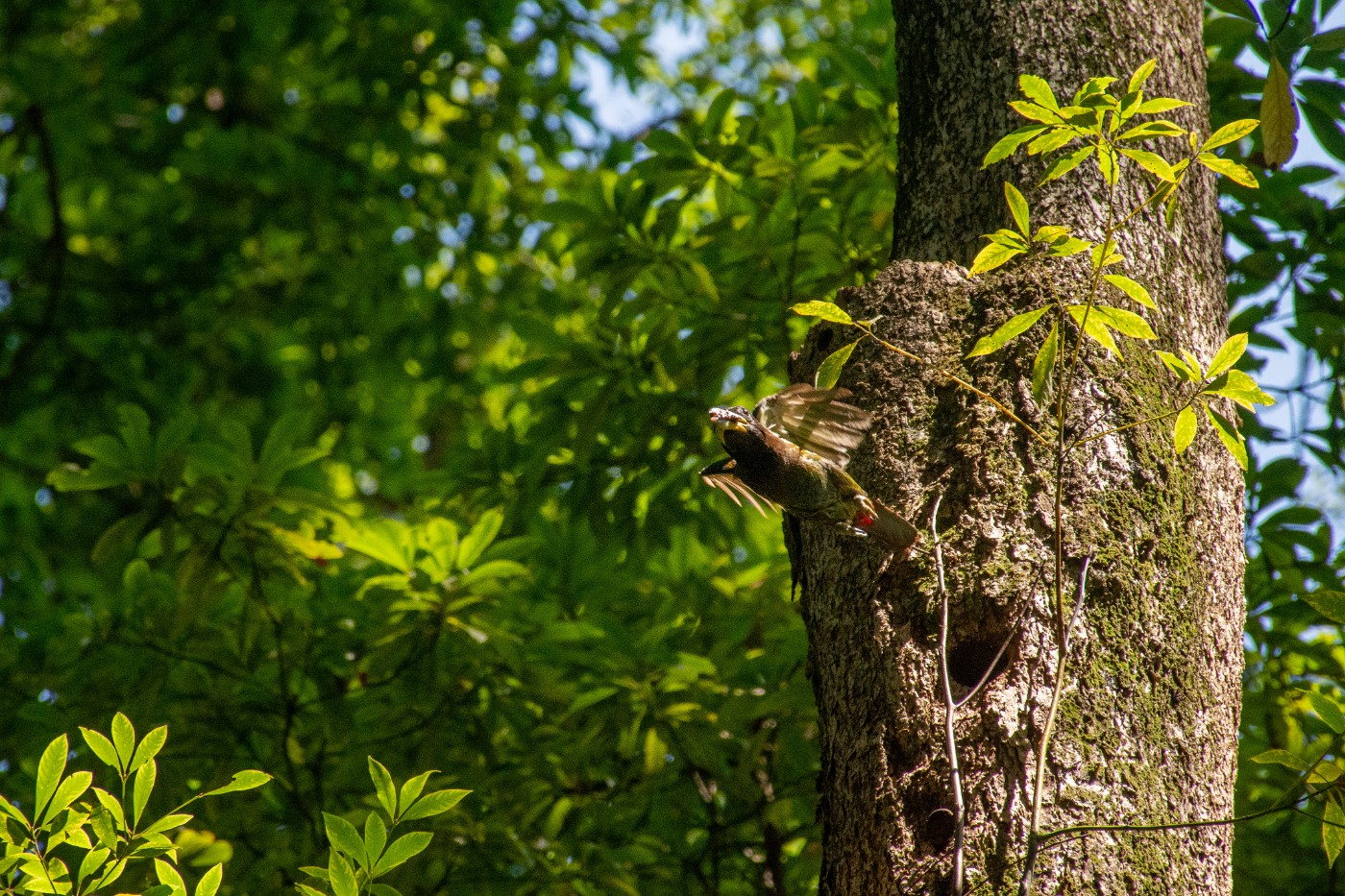 _DSC9885.jpg