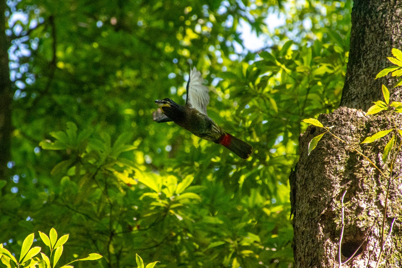 _DSC9886.jpg