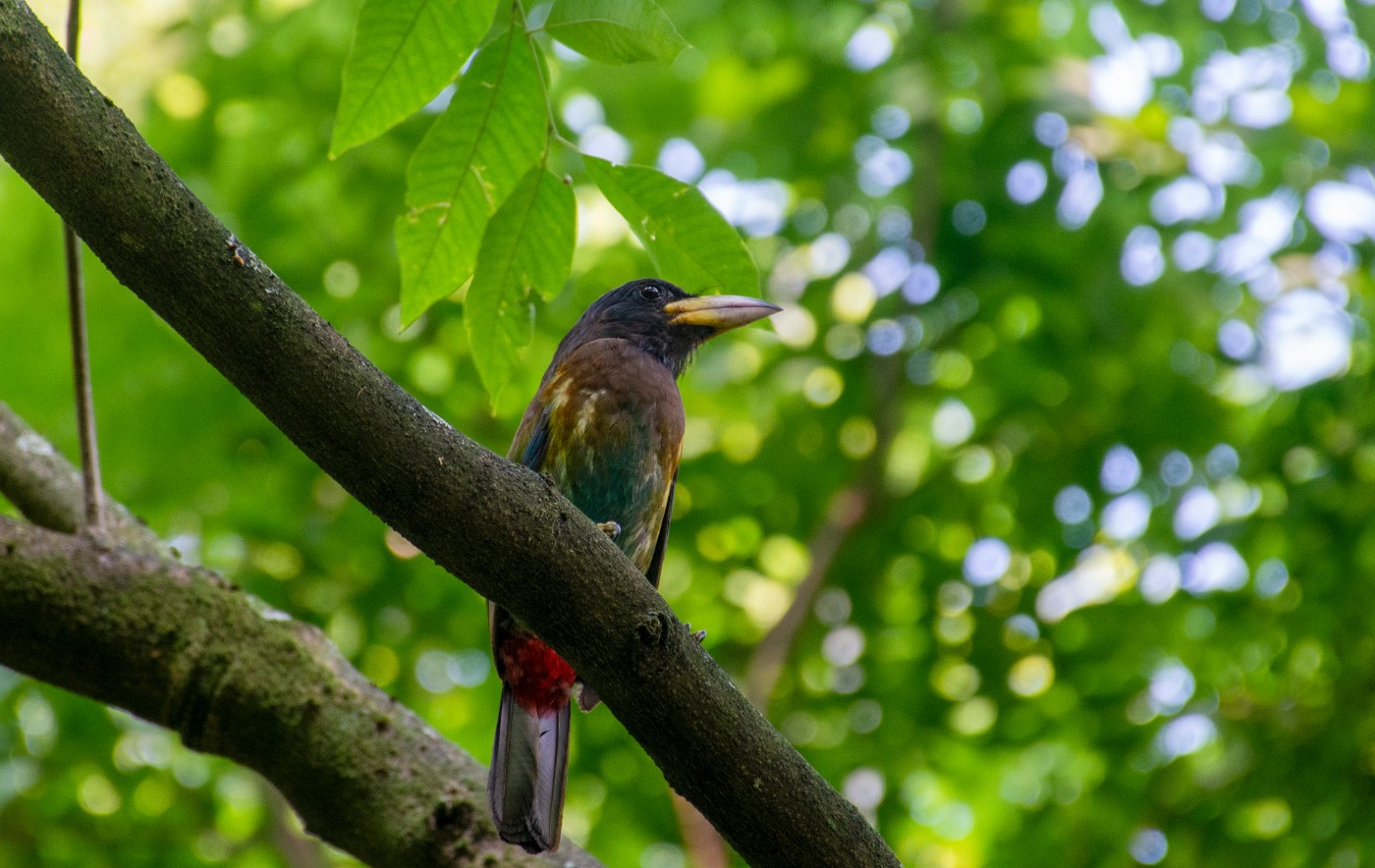 _DSC9913.jpg
