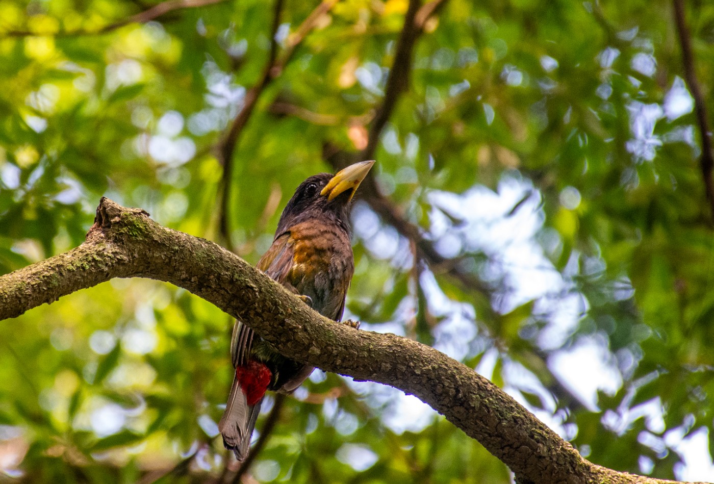 _DSC9990.jpg