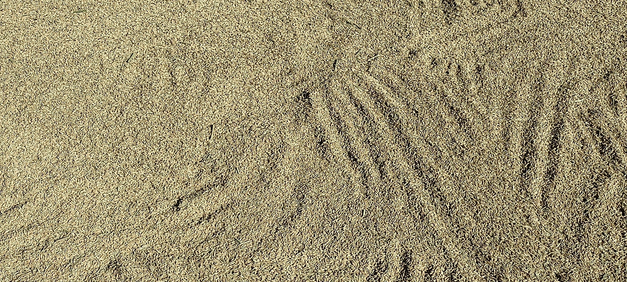 20260814091258front2_0_7914442_FuRmXsX3UkIzvNmF2eKrhSN9vpU1.png