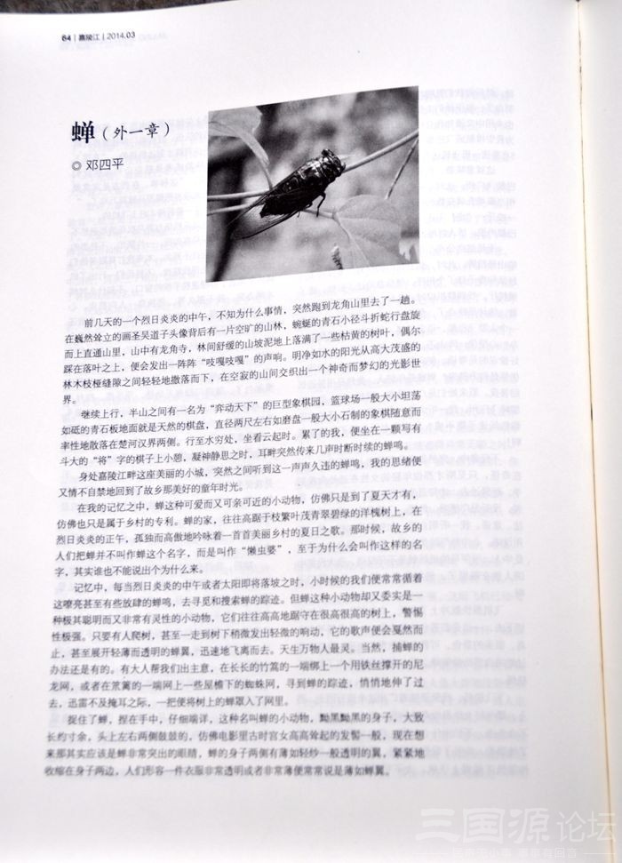 105037xhq77z0uzdyaer7h.jpg