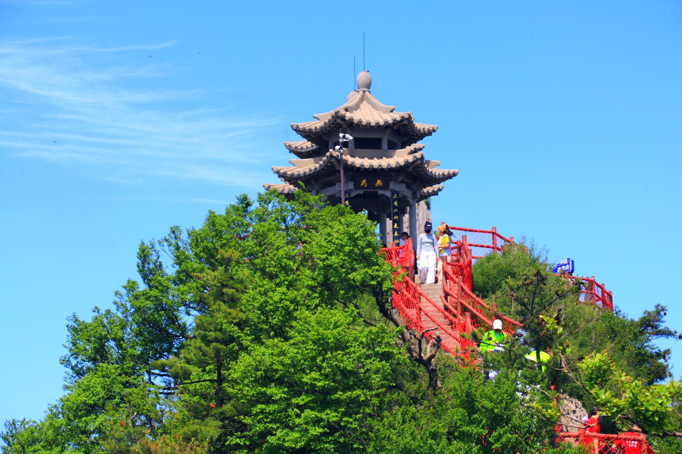 IMG_5754_conew1.jpg