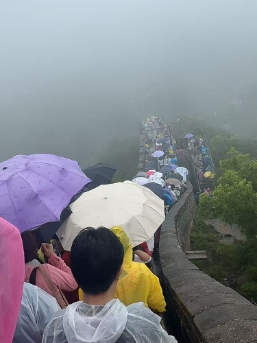 image_1786853546008.jpg