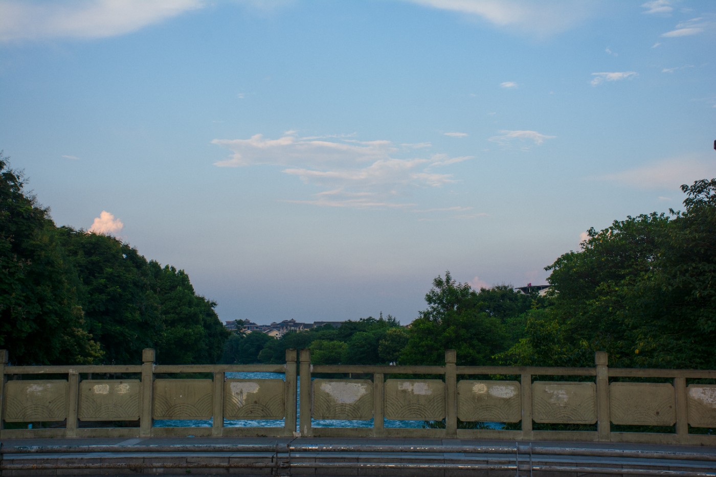 _DSC9407.jpg
