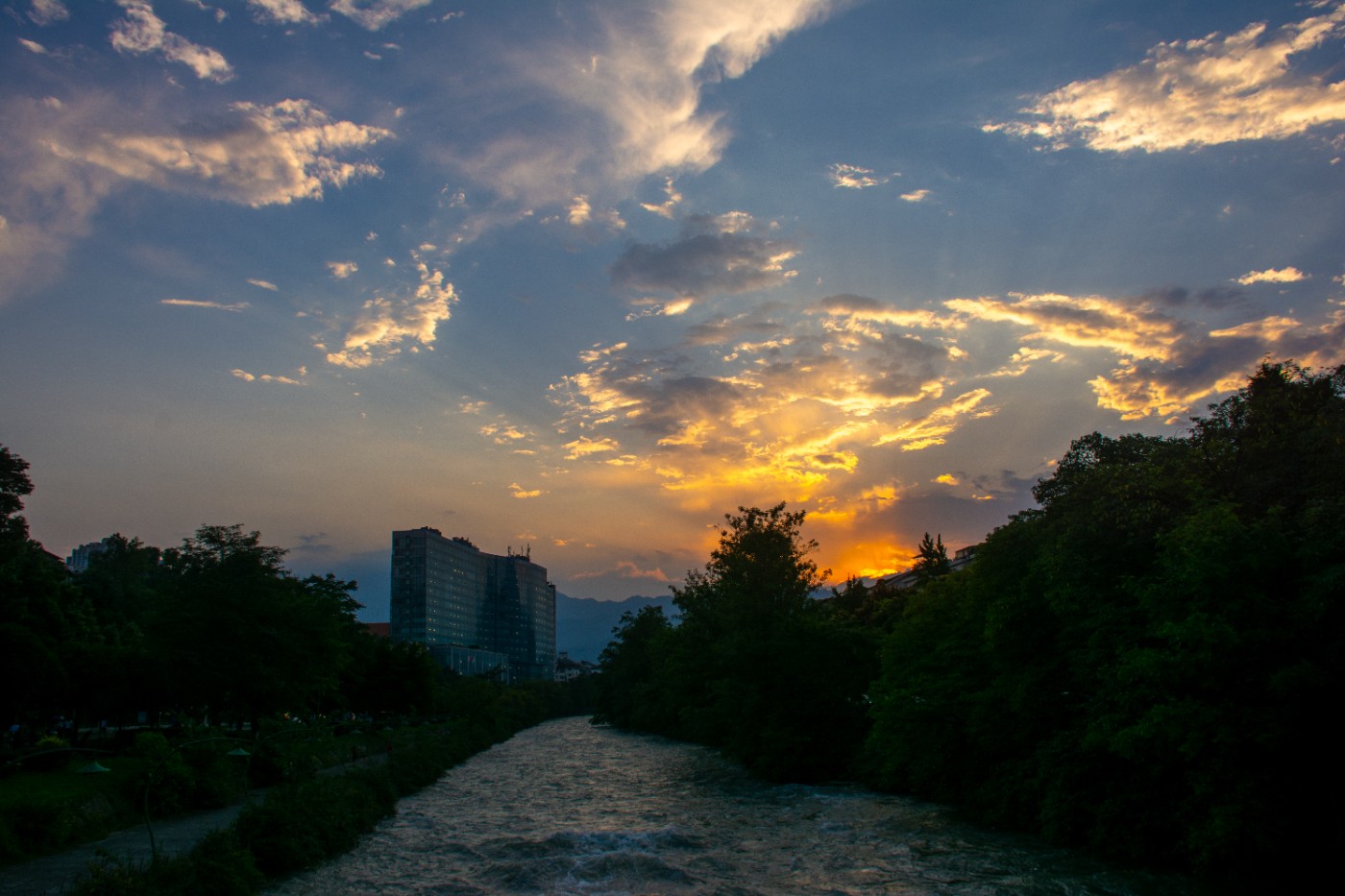 _DSC9423.jpg