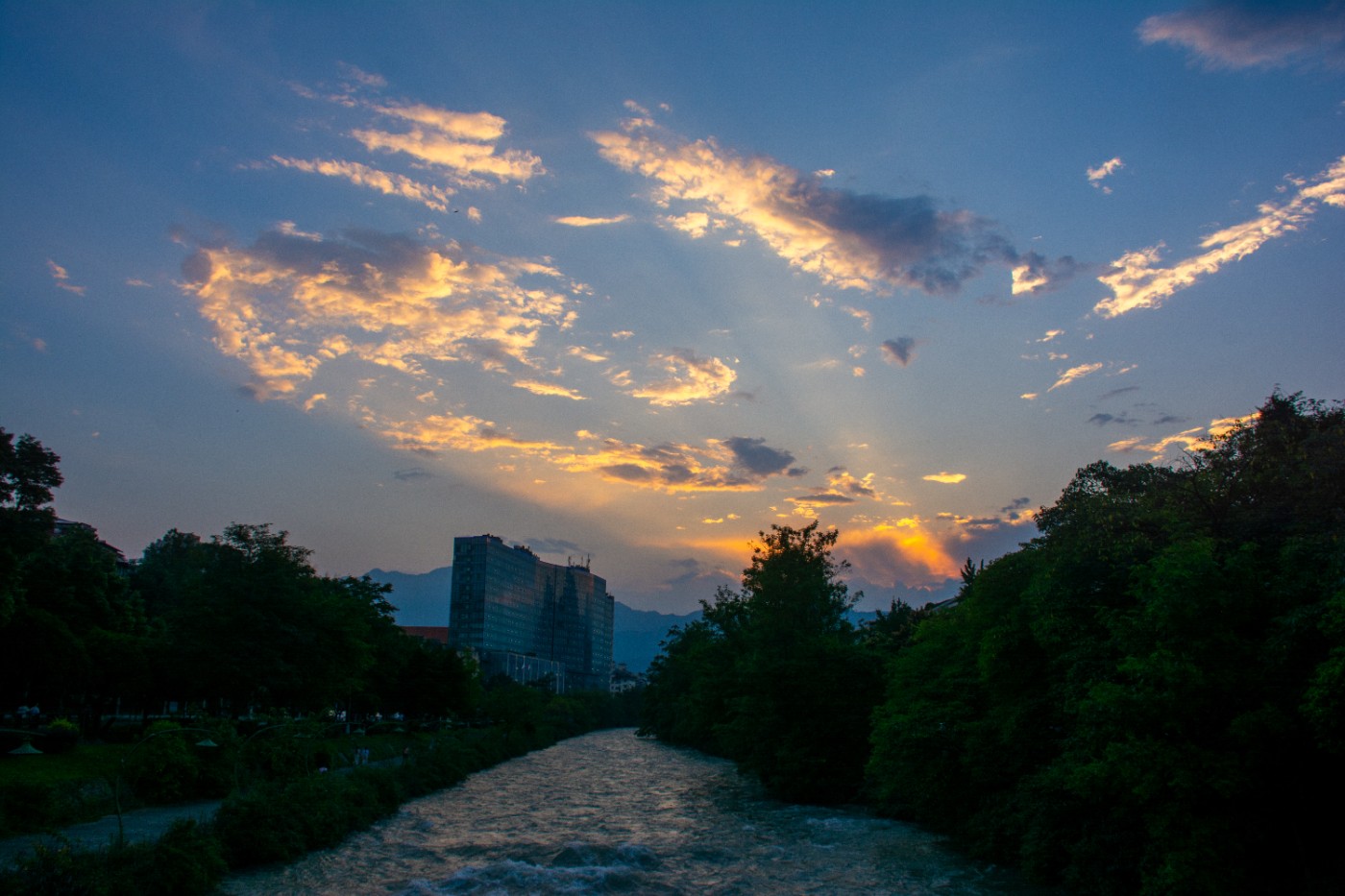 _DSC9439.jpg