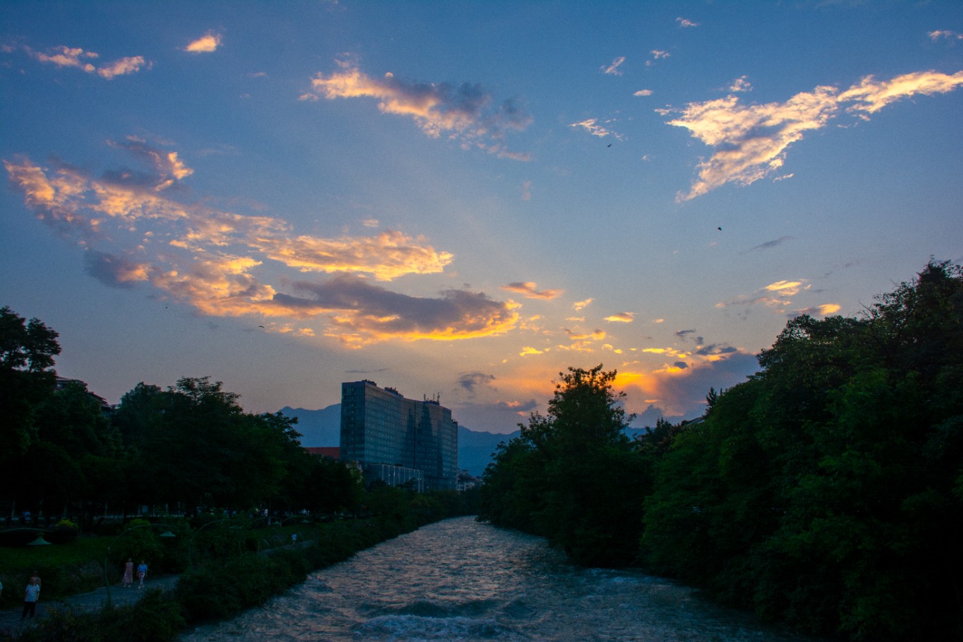 _DSC9447.jpg
