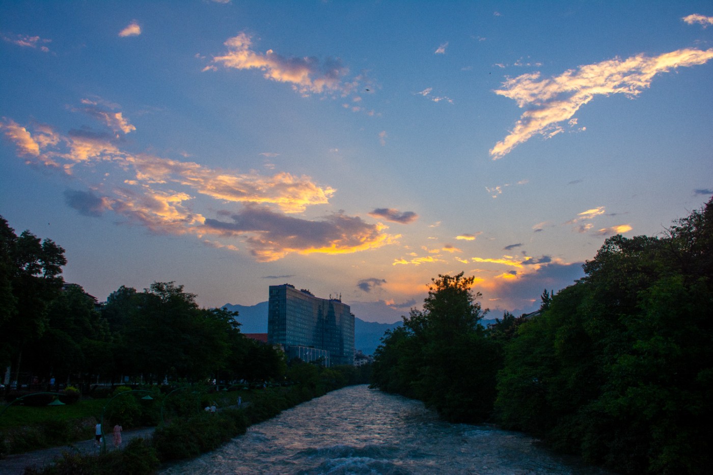 _DSC9450.jpg