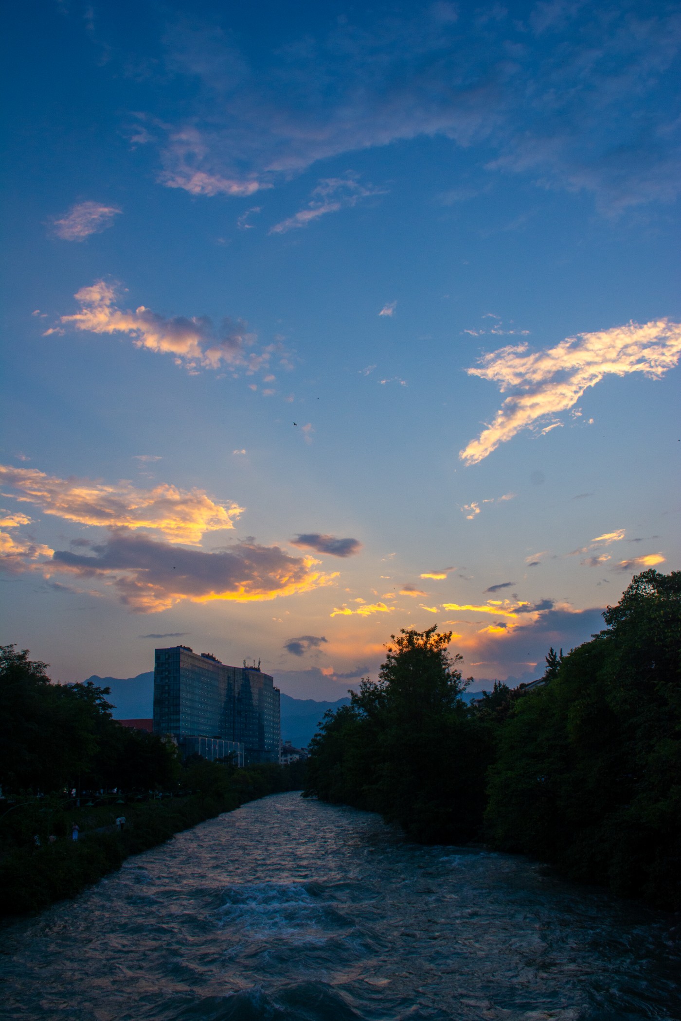 _DSC9451.jpg