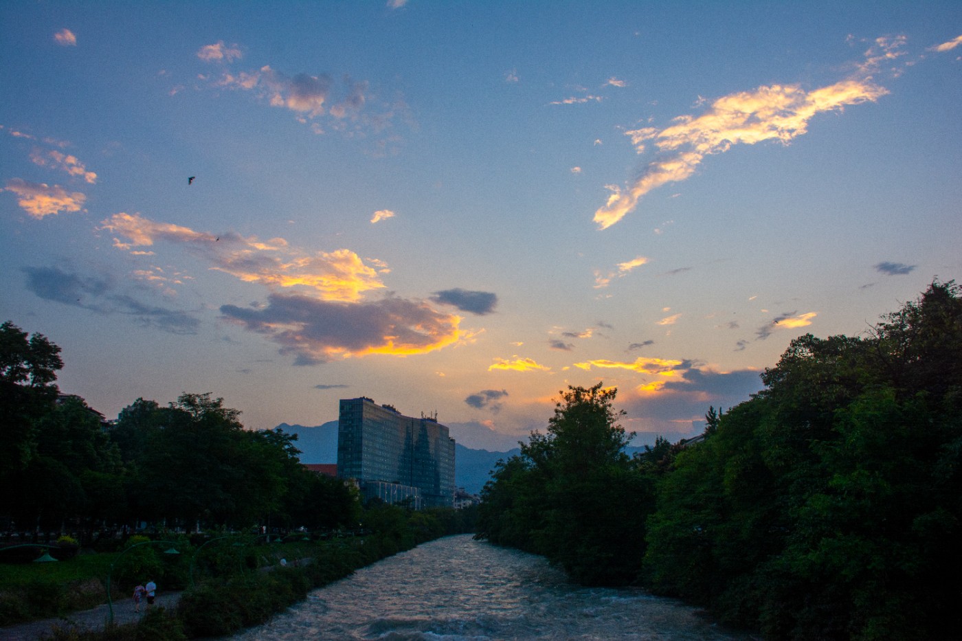 _DSC9454.jpg