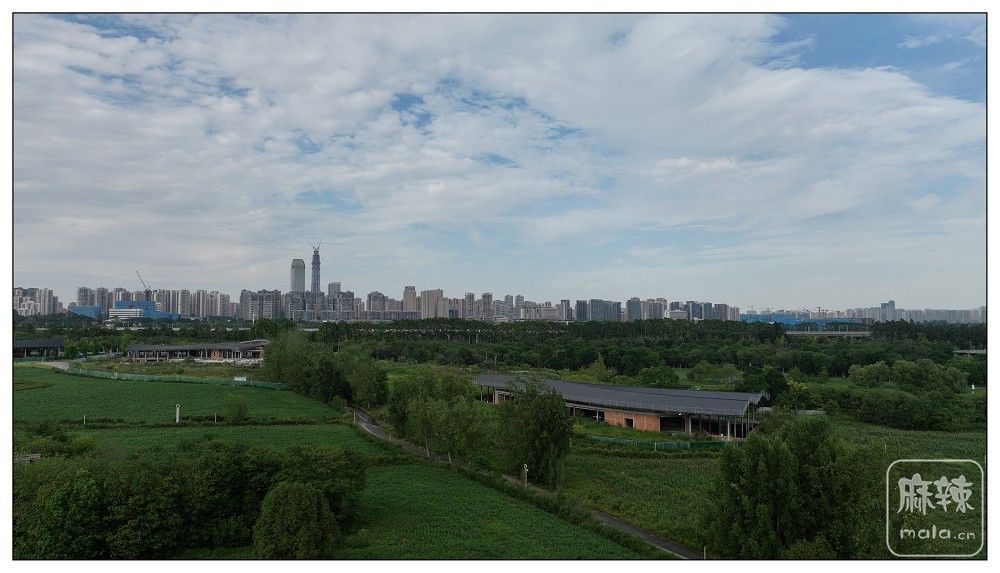 DJI_20260717175440_0073_D.jpg