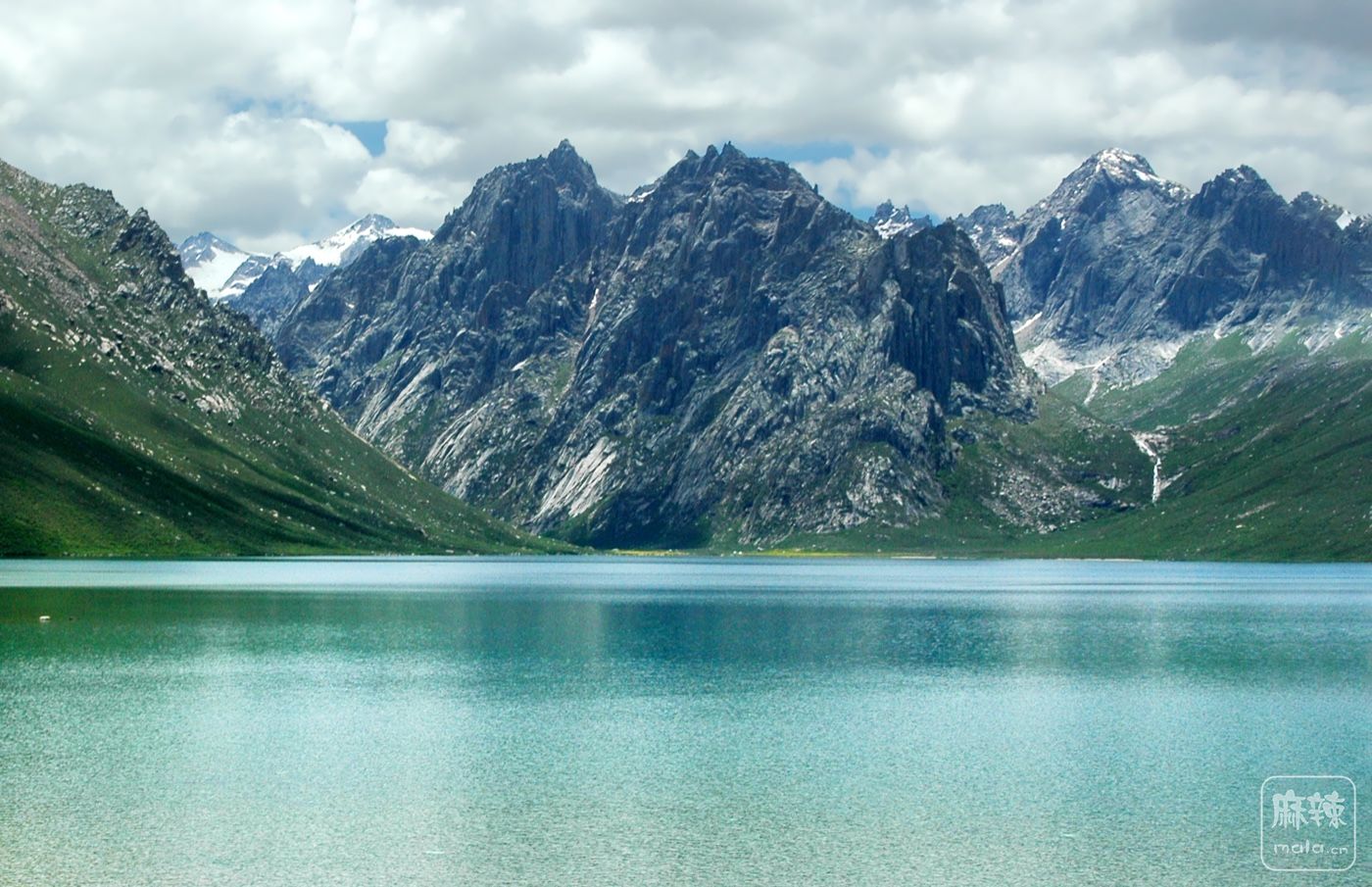 DSC_0915.jpg